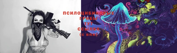 соль курить ск Алзамай