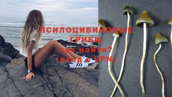 соль курить ск Алзамай