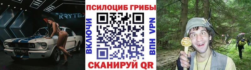 маркетплейс клад  Дзержинский  Псилоцибиновые грибы Psilocybine cubensis 