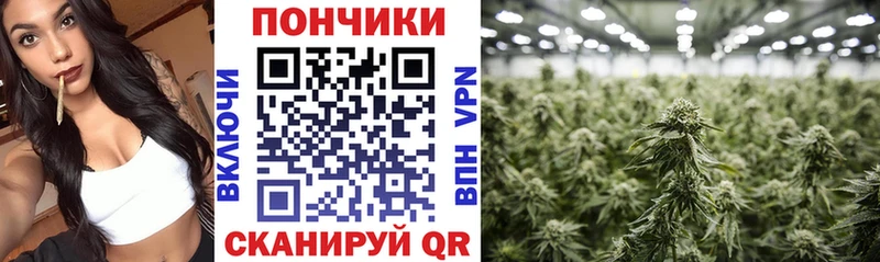 где найти наркотики  darknet Telegram  Шишки марихуана SATIVA & INDICA  Дзержинский  omg рабочий сайт 